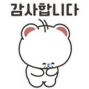 배가찐왕만두 네이버블로그