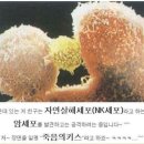 해동힐링안마원 이미지