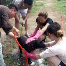 내촌농장 이미지