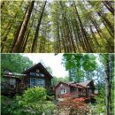 강씨봉자연휴양림 공중화장실 이미지