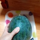 노랑수박 Daum카페