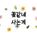 대영지게차