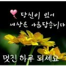 멋진하루 이미지