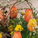 울진봄날애햇살 이미지