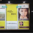 공감성형외과 Daum카페