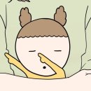 하루이야기