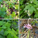 노작공원(홍사용) 이미지