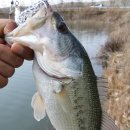 송림제 | 송림제는 갈대숲을 좋아해 : 스피너베이트 핫