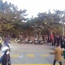 해맞이 동물병원 이미지