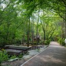 개울달천 이미지