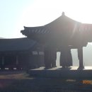 달중이네 이미지