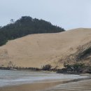 우이도 풍성사구(모래언덕) 이미지