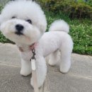 알로하 동물병원 이미지