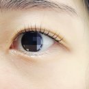 디아뷰티 - 김해시 삼안로221번길 12-13 | 수원 인계동 수원시청역 속눈썹펌 디아엘뷰티 솔직 후기