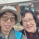 동빈경로당 Daum카페