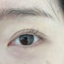 르하놀
