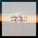 댕댕이살롱 이미지