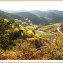 2018.4.1.의성 비봉,금성산, 산수유축제 이미지