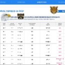 진학사 | 진학사 무료 점수 공개 서비스 | 진학사 AI 수시진단 후기 | 수시합격예측 하는 법 🍀