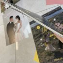 웨딩포스터 디자인 및 인쇄 협찬 후기 대량인쇄 가능한 프린트랩 빠른인쇄 경험