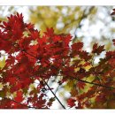 사직2동-26 이미지