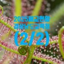 상동초등학교안인분교장 이미지