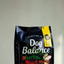 왈와리 카카오 검색결과