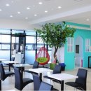 체리애견 이미지