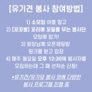 티비티 월드 | 꼬꼬봉으로 참여한 TBT 티비티 월드 유기견 보호소 청소 및 산책 봉사 후기