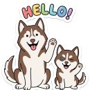 [평택 고덕 라멘집] 멘야고 고덕점 - 단골이 보장하는 아카라멘과 히레카츠 세트 솔직 후기!내돈내산