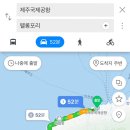 펠롱포리
