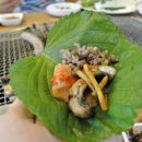 (주)갈릴리농원 이미지