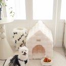 몽글몽글 펫 이미지