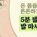 메아리산방