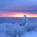 공설운동장 입구 1 이미지