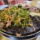 감골오리 이미지