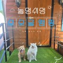 모모전자 | [내돈내산] 모모글램핑 프리미엄 객실 후기, 가평 개별화장실 애견동반 글램핑