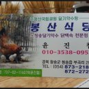 봉산약수터 이미지