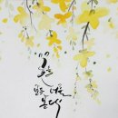 솔잎향기 이미지