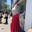 성수 팝업 [실바니안 40주년 기념 팝업] 첫날 후기 재고 현황!