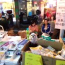 미니 & 바니 애견샵 이미지