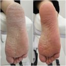 레푸스 성신여대점 이미지