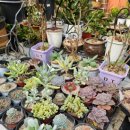 산정여관 이미지