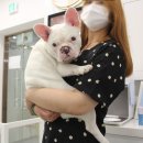 항동푸른숲동물병원 이미지