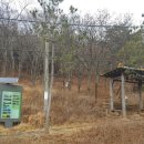 대부해솔길 1-1코스(순환코스) 이미지