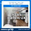 태현 청소,소독,방역 | [대구거주청소] 달성군 빌라 해충방역소독 현장 후기