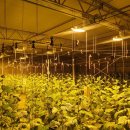 보광환경 이미지