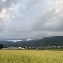 [유후인 료칸 후키노야] 후쿠오카 유후인 가성비 좋은 료칸 추천 / 체크인 및 룸컨디션