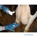 (주)어더나 이미지