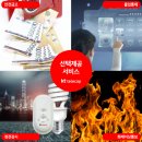 케이티안 이미지